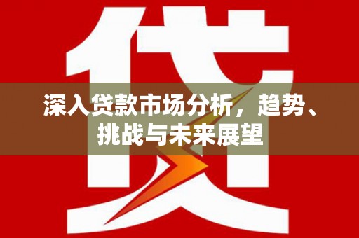 白河深入贷款市场分析，趋势、挑战与未来展望