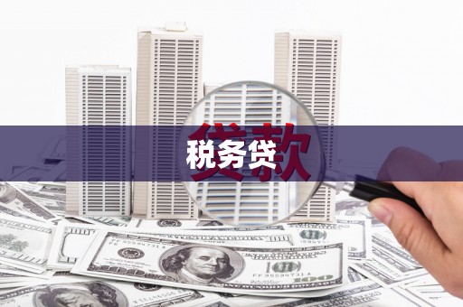 白河税务贷