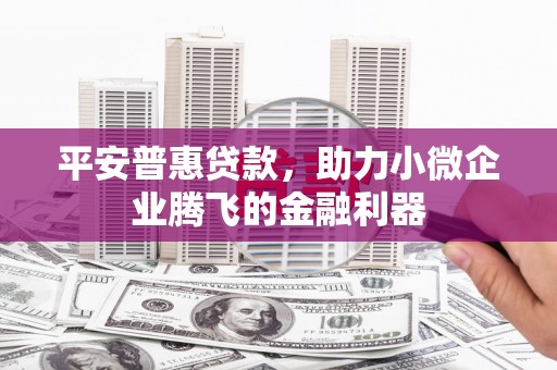 白河平安普惠贷款，助力小微企业腾飞的金融利器