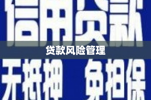 白河贷款风险管理
