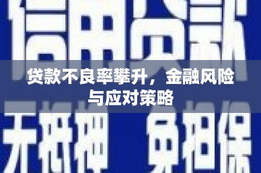 白河贷款不良率攀升，金融风险与应对策略
