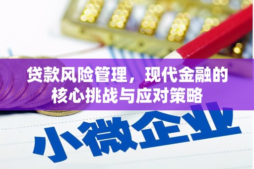 白河贷款风险管理，现代金融的核心挑战与应对策略
