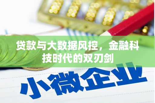 白河贷款与大数据风控，金融科技时代的双刃剑