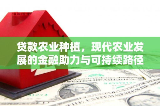 白河贷款农业种植，现代农业发展的金融助力与可持续路径