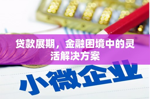 白河贷款展期，金融困境中的灵活解决方案