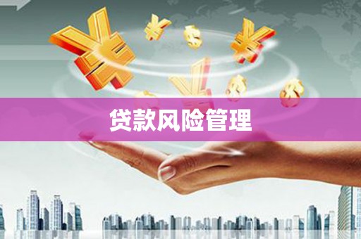 白河贷款风险管理