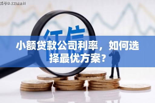 白河小额贷款公司利率，如何选择最优方案？