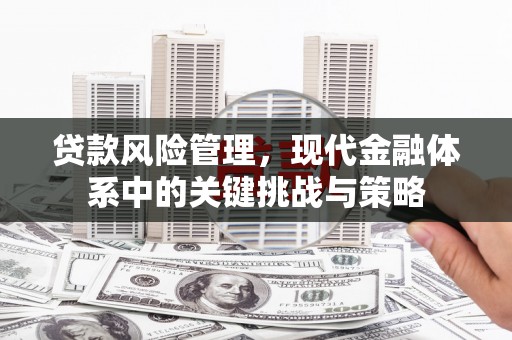 白河贷款风险管理，现代金融体系中的关键挑战与策略