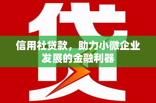 白河信用社贷款，助力小微企业发展的金融利器