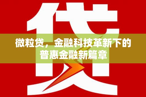 白河微粒贷，金融科技革新下的普惠金融新篇章