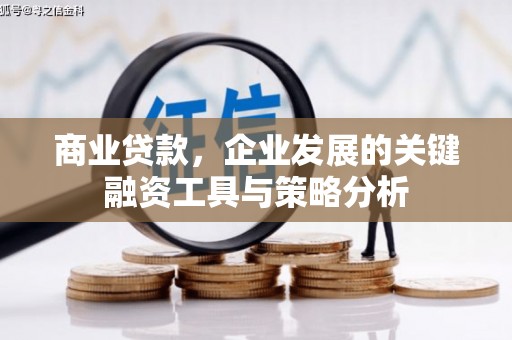 白河商业贷款，企业发展的关键融资工具与策略分析