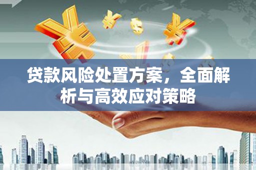 白河贷款风险处置方案，全面解析与高效应对策略