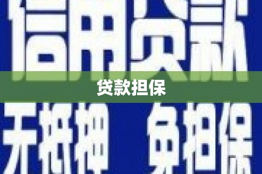 白河贷款担保