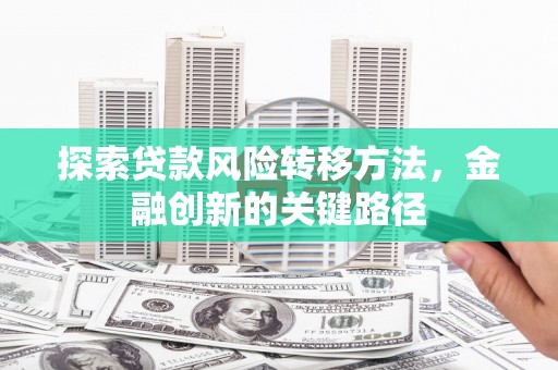 白河探索贷款风险转移方法，金融创新的关键路径