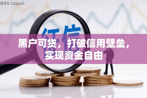 白河黑户可贷，打破信用壁垒，实现资金自由