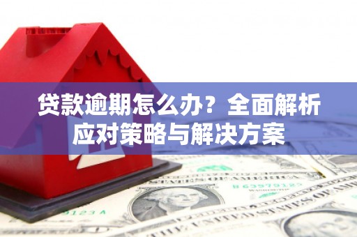 白河贷款逾期怎么办？全面解析应对策略与解决方案