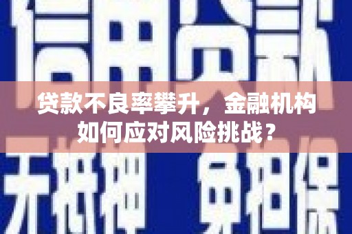 白河贷款不良率攀升，金融机构如何应对风险挑战？