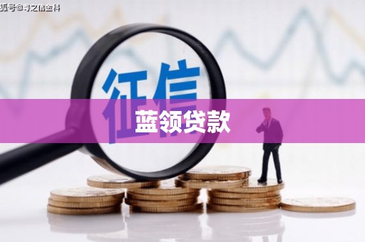 白河蓝领贷款