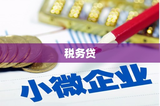白河税务贷