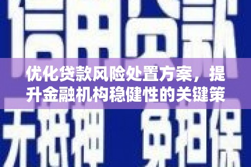 白河优化贷款风险处置方案，提升金融机构稳健性的关键策略