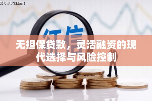 白河无担保贷款，灵活融资的现代选择与风险控制