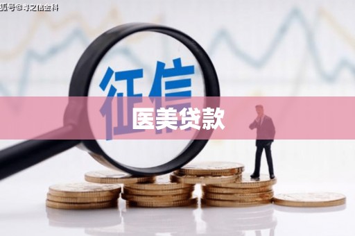 白河医美贷款
