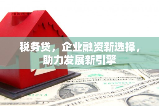 白河税务贷，企业融资新选择，助力发展新引擎