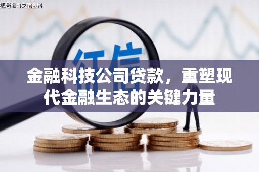 白河金融科技公司贷款，重塑现代金融生态的关键力量