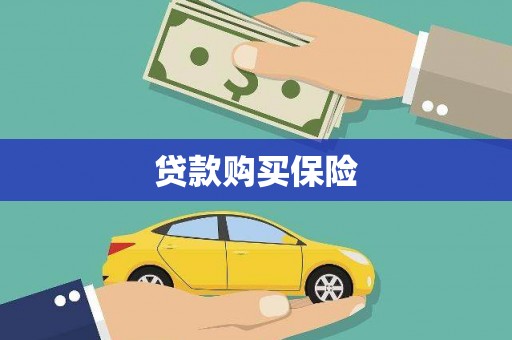 白河贷款购买保险