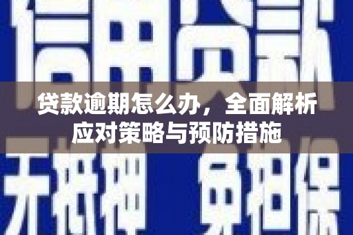 白河贷款逾期怎么办，全面解析应对策略与预防措施