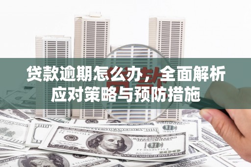 白河贷款逾期怎么办，全面解析应对策略与预防措施