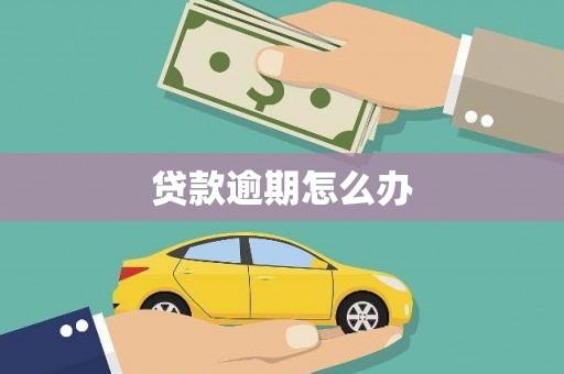 白河贷款逾期怎么办