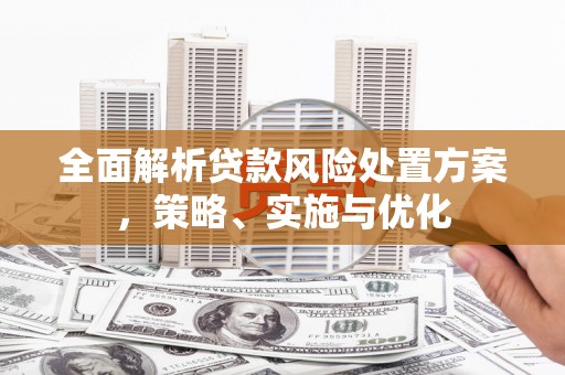 白河全面解析贷款风险处置方案，策略、实施与优化