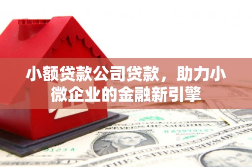 白河小额贷款公司贷款，助力小微企业的金融新引擎