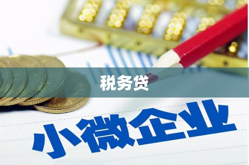 白河税务贷
