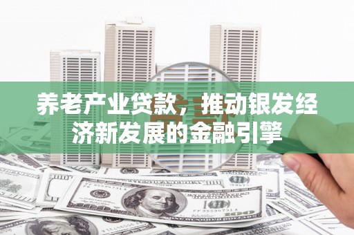 白河养老产业贷款，推动银发经济新发展的金融引擎