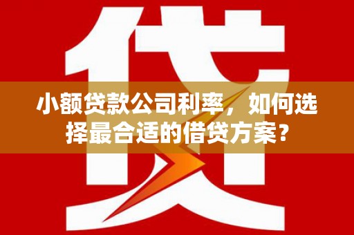 白河小额贷款公司利率，如何选择最合适的借贷方案？
