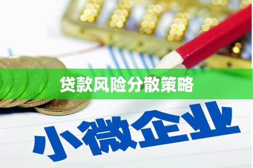 白河贷款风险分散策略