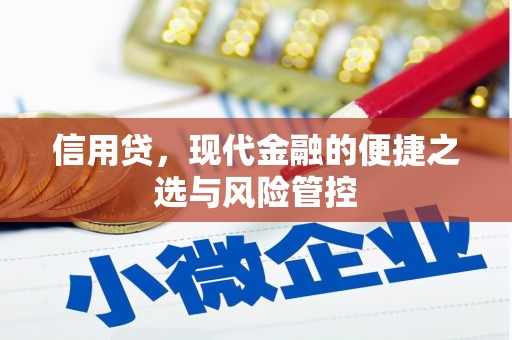 白河信用贷，现代金融的便捷之选与风险管控