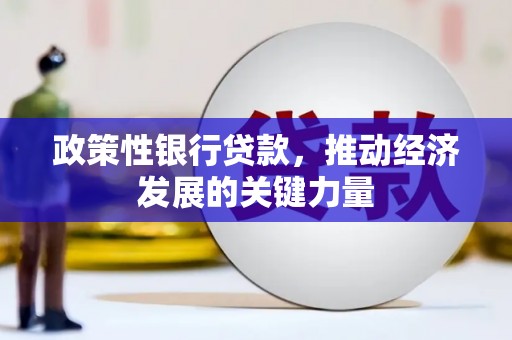 白河政策性银行贷款，推动经济发展的关键力量