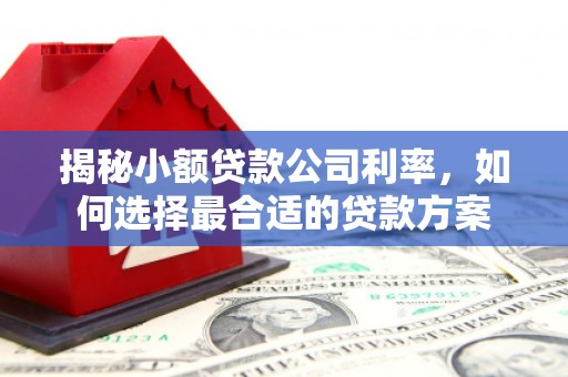 白河揭秘小额贷款公司利率，如何选择最合适的贷款方案