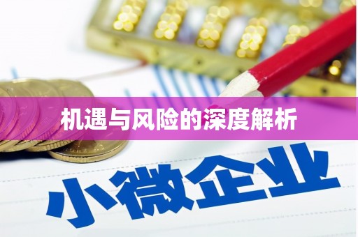 白河机遇与风险的深度解析