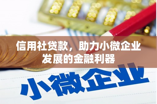 白河信用社贷款，助力小微企业发展的金融利器