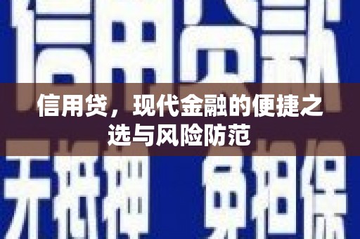 白河信用贷，现代金融的便捷之选与风险防范
