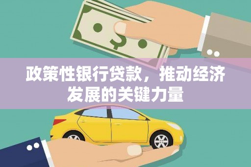 白河政策性银行贷款，推动经济发展的关键力量