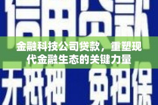白河金融科技公司贷款，重塑现代金融生态的关键力量