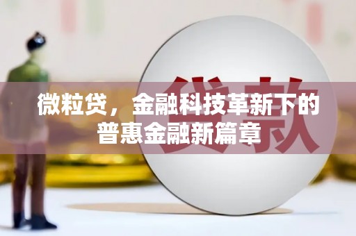 白河微粒贷，金融科技革新下的普惠金融新篇章