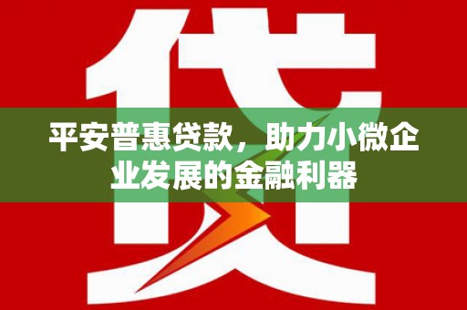 白河平安普惠贷款，助力小微企业发展的金融利器