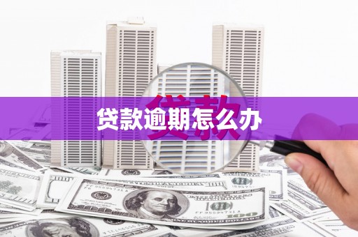 白河贷款逾期怎么办