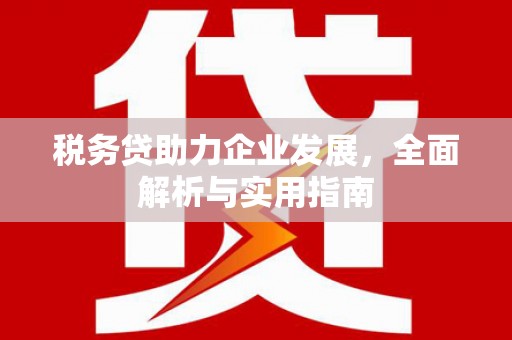 白河税务贷助力企业发展，全面解析与实用指南